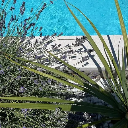 And Matesa بيت ضيافة 4*