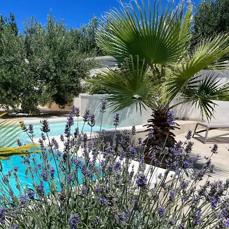 And Matesa Vodice