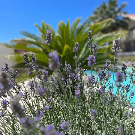 Vendégház And Matesa Vodice