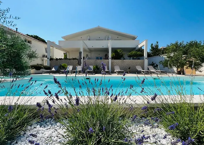 And Matesa ヴォディツェ