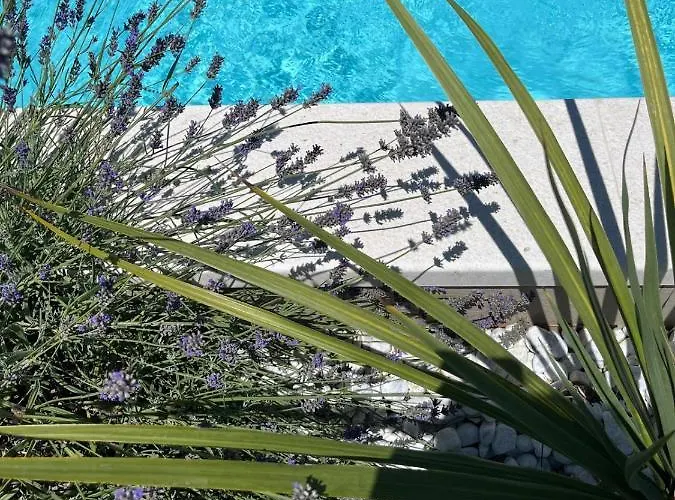 And Matesa ゲストハウス 4*