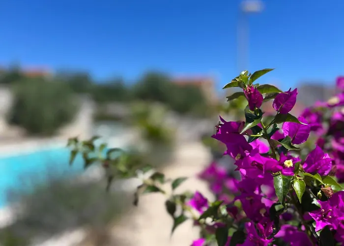 And Matesa Gasthuis Vodice