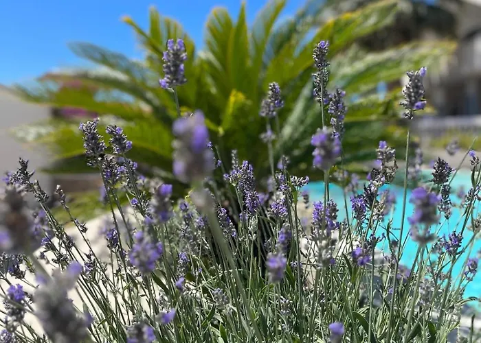 ゲストハウス And Matesa ヴォディツェ