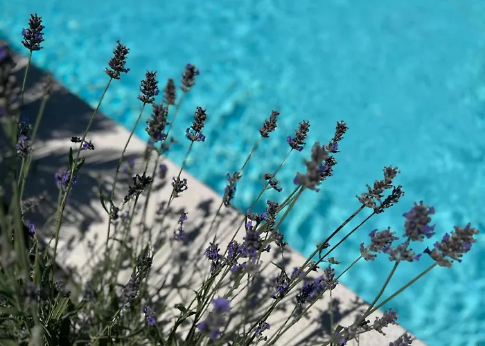 And Matesa ヴォディツェ