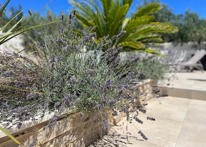 Gasthuis And Matesa 4*